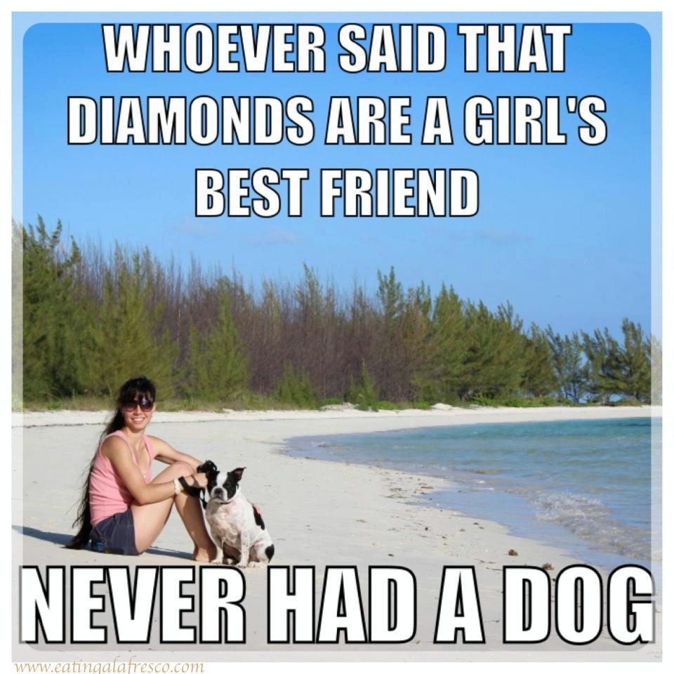 Whoever said that diamonds are a girl's best friend never had a dog