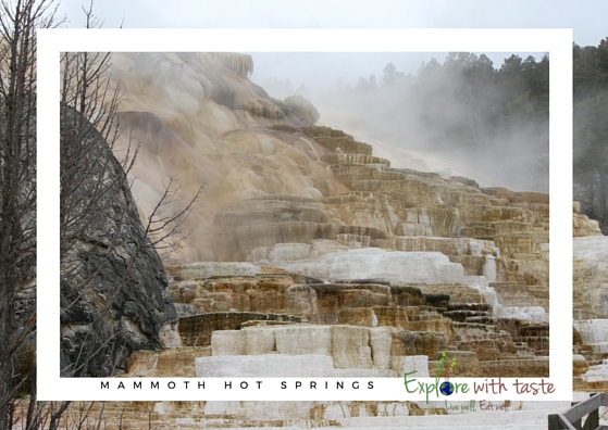 Mammoth hot springs