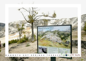 Mammoth hot springs terrace