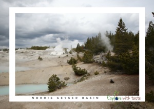 Norris Geyser Basin 2