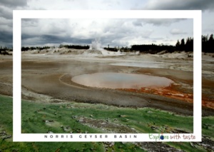 Norris Geyser Basin