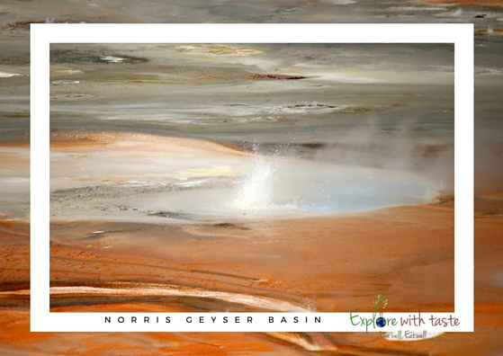 Norris Geyser Basin