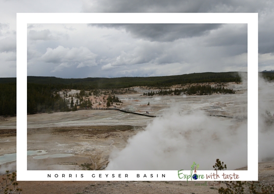 norris geyser basin