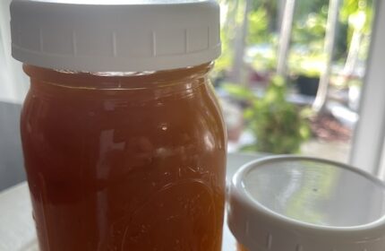 Mango jam homemade