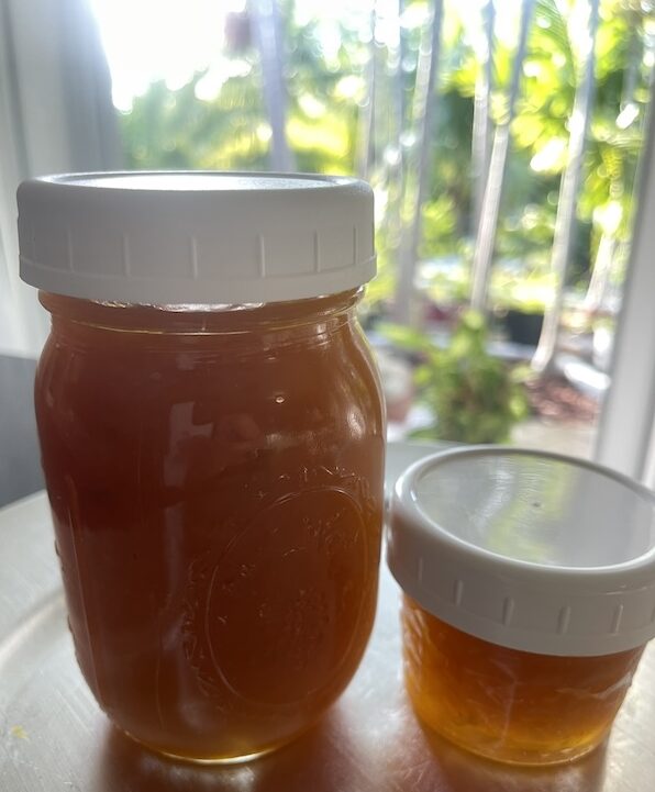 Mango jam homemade